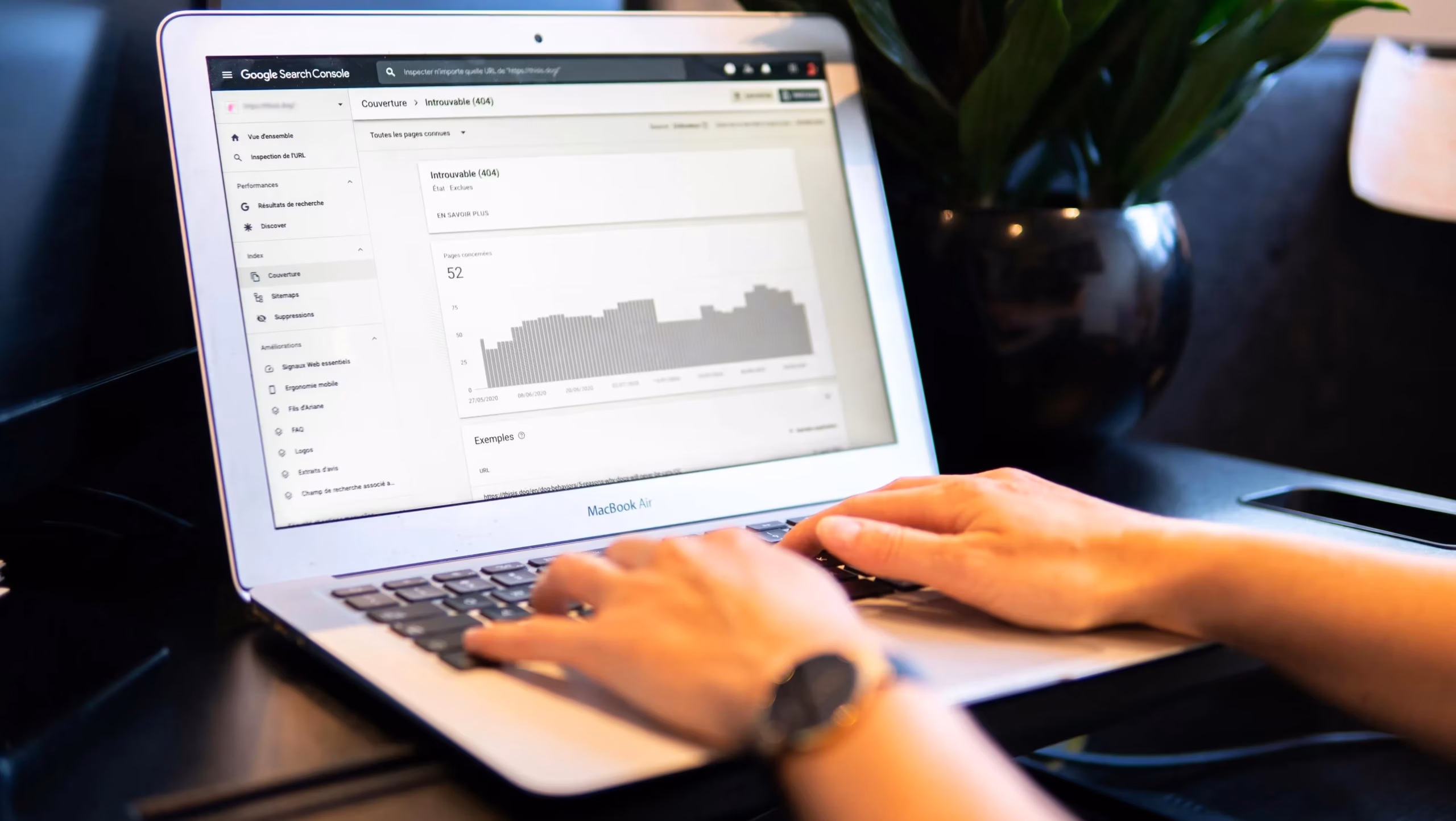 Person tippt auf einem Laptop, auf dessen Bildschirm die Google Search Console mit Analysedaten und Diagrammen angezeigt wird, auf einem schwarzen Schreibtisch mit einer Pflanze im Hintergrund.