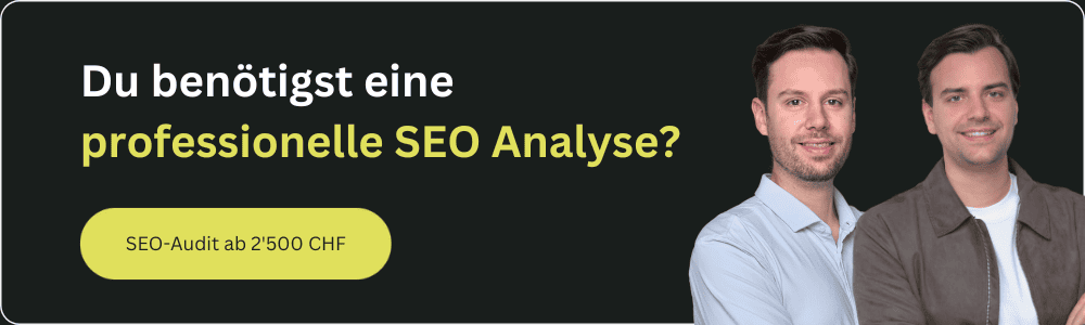 Kim von Däniken und Ato Herzig mit einem Angebot für professionelle SEO-Audits in der Schweiz