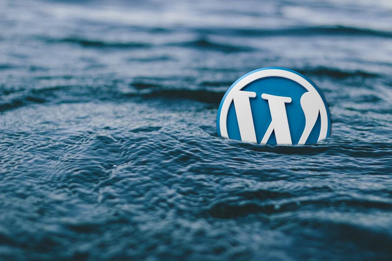 Ein rundes WordPress-Logo, das andeutet, warum WordPress so beliebt ist, ist teilweise in plätscherndes Wasser getaucht.