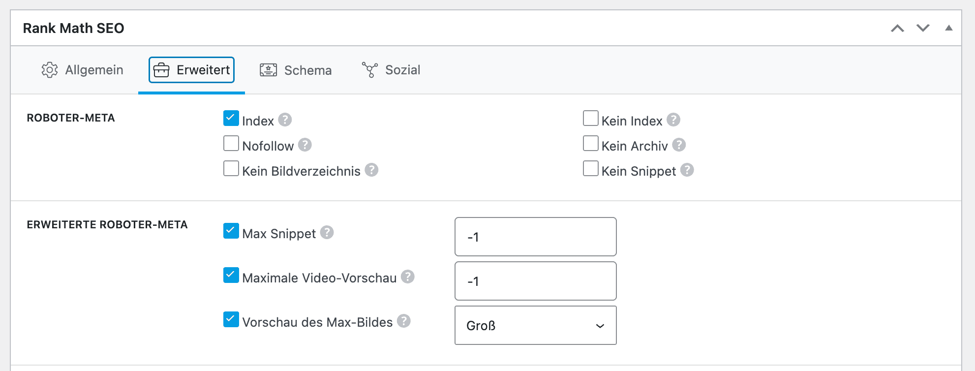 No Index Tag in RankMath SEO bearbeiten