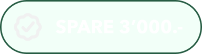 Ein runder hellgrüner Knopf mit dem Text "SPARE 3'000.-" in weißen Großbuchstaben.